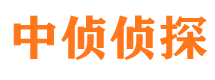 申扎寻人公司